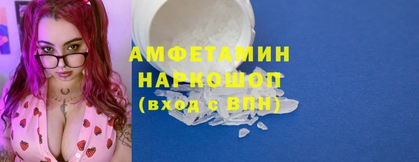 индика Богданович