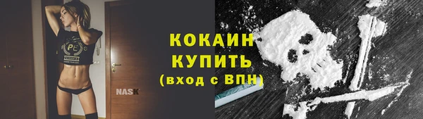 индика Богданович