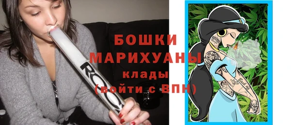 индика Богданович