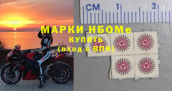 индика Богданович