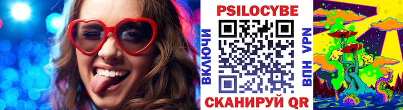 где найти   Кузнецк  Псилоцибиновые грибы прущие грибы 